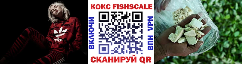 купить наркотики цена  Рыбинск  darknet клад  COCAIN Fish Scale 