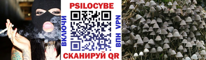 Псилоцибиновые грибы прущие грибы  наркотики  Рыбинск 